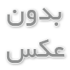 فنس باغی بهتر است یا گابیون 